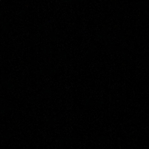 Meet your Posher, Mona - Picture 1 of 1